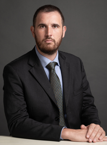 Immagine del professionista MARCO  FARALDI